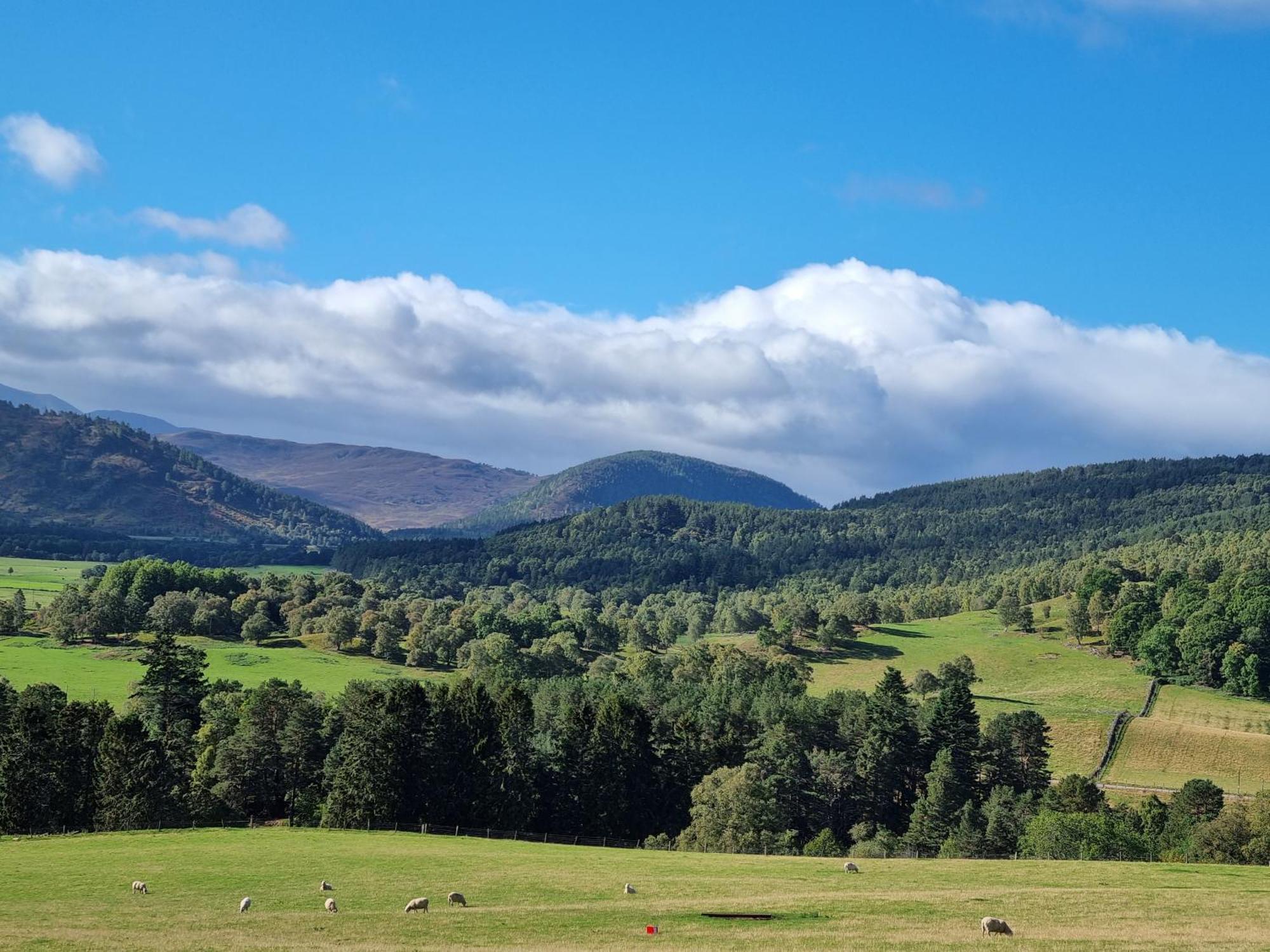Bed and Breakfast Craggan Ballater Esterno foto